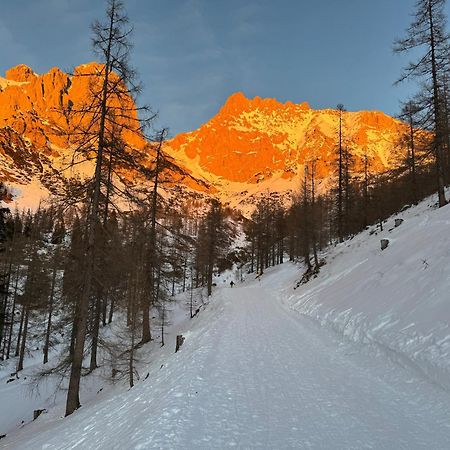Romantikapartment Mit Sommercard Ramsau am Dachstein Extérieur photo