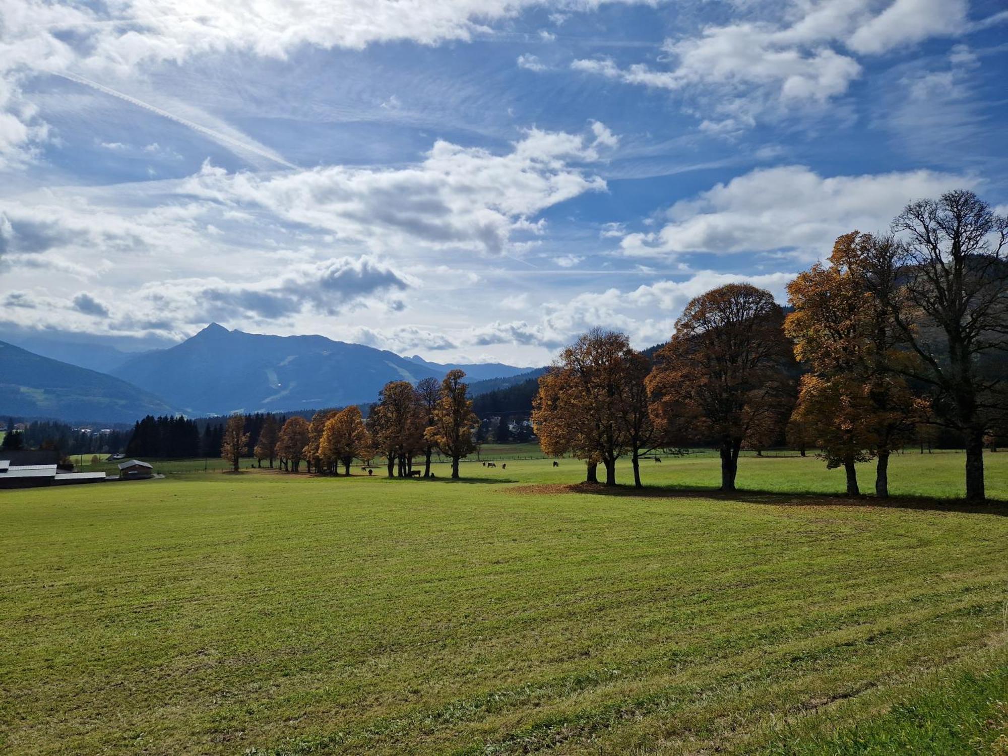 Romantikapartment Mit Sommercard Ramsau am Dachstein Extérieur photo