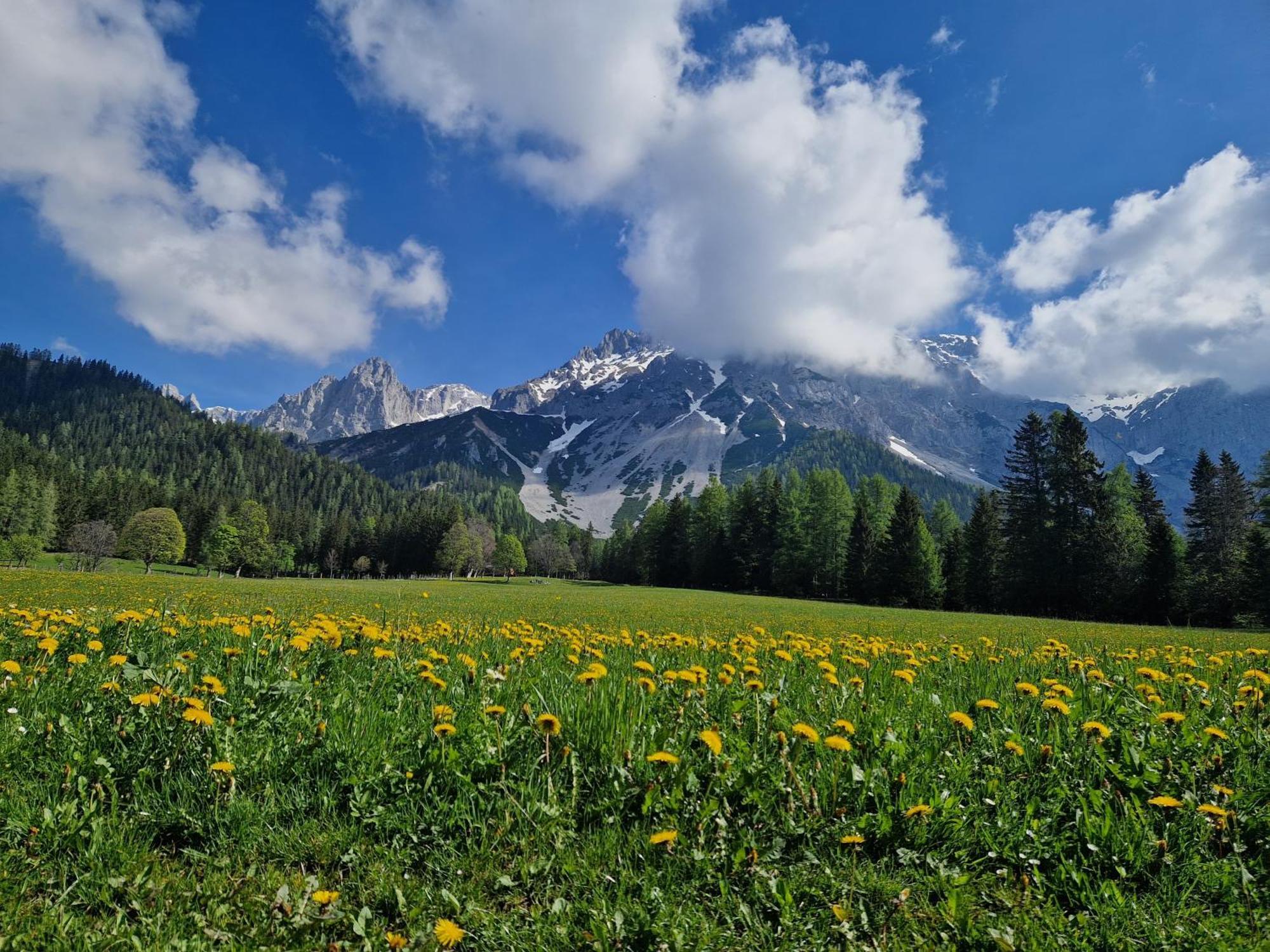 Romantikapartment Mit Sommercard Ramsau am Dachstein Extérieur photo